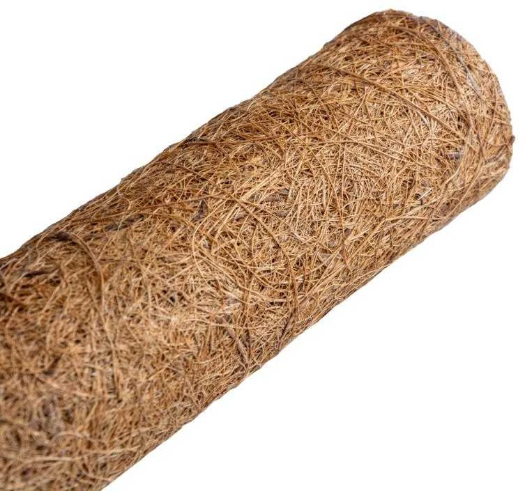 Atraminis kuolas su kokoso plaušu, 120 cm