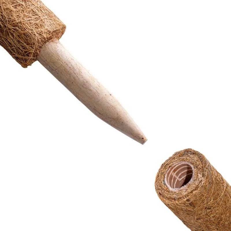 Atraminis kuolas su kokoso plaušu, 120 cm