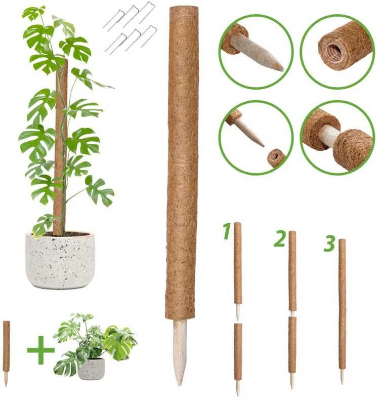 Atraminis kuolas su kokoso plaušu, 120 cm