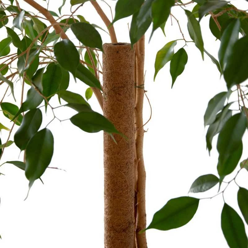Atraminis kuolas su kokoso plaušu, 120 cm