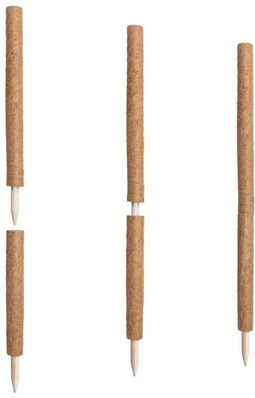 Atraminis kuolas su kokoso plaušu, 90 cm