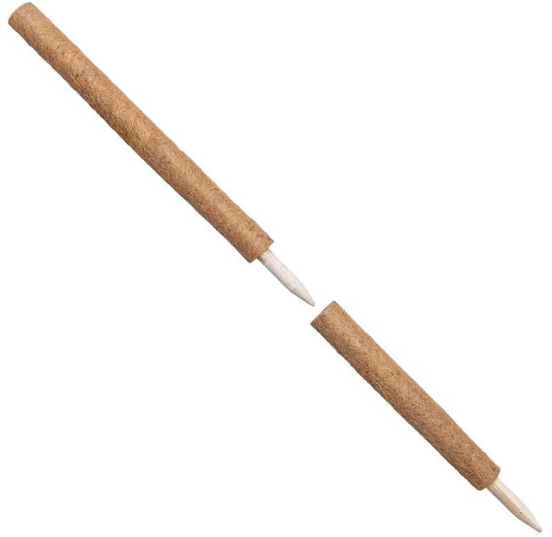 Atraminis kuolas su kokoso plaušu, 90 cm