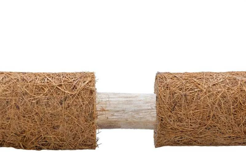 Atraminis kuolas su kokoso plaušu, 90 cm