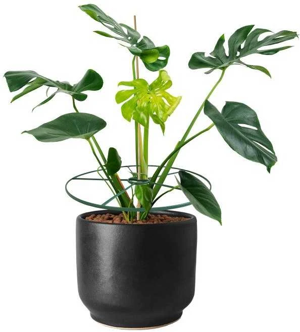 Augalų atramų rinkinys "Žiedai", 39 cm, 3 vnt