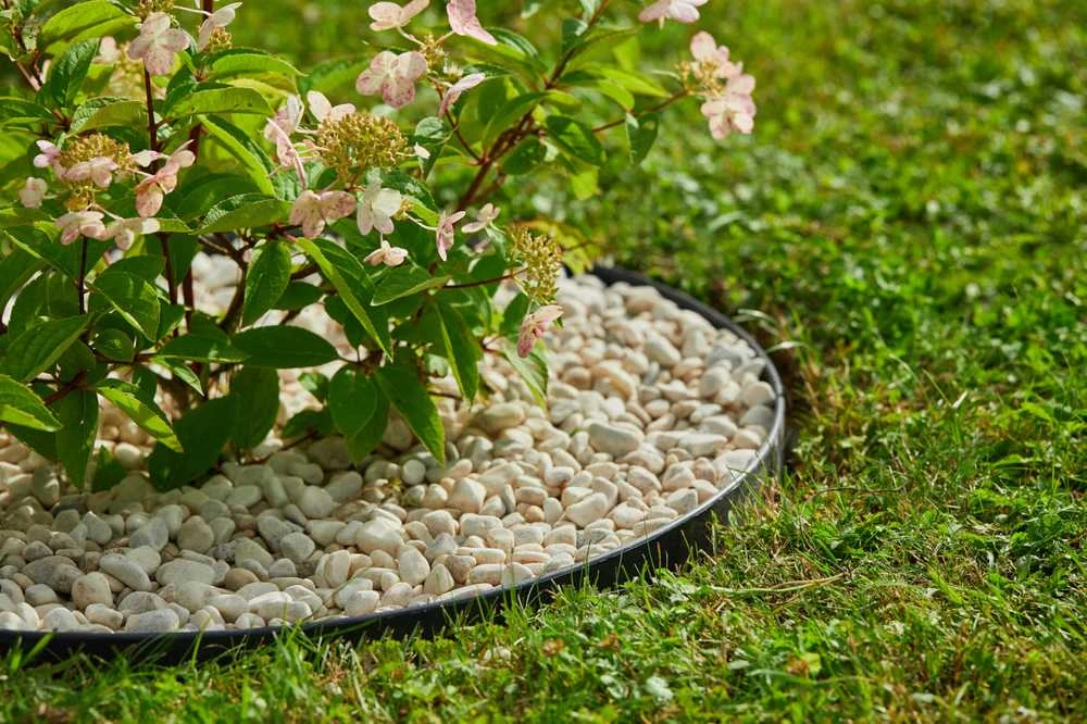 Plastikiniai tvirtinimo smeigtukai geotekstilei 20 vnt, juoda