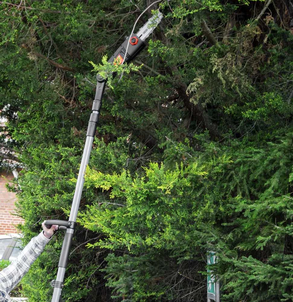 Grandininis elektrinis pjūklas Reguliuojamas šakų genėjimo pjūklas Elem Garden Technic, 710 W