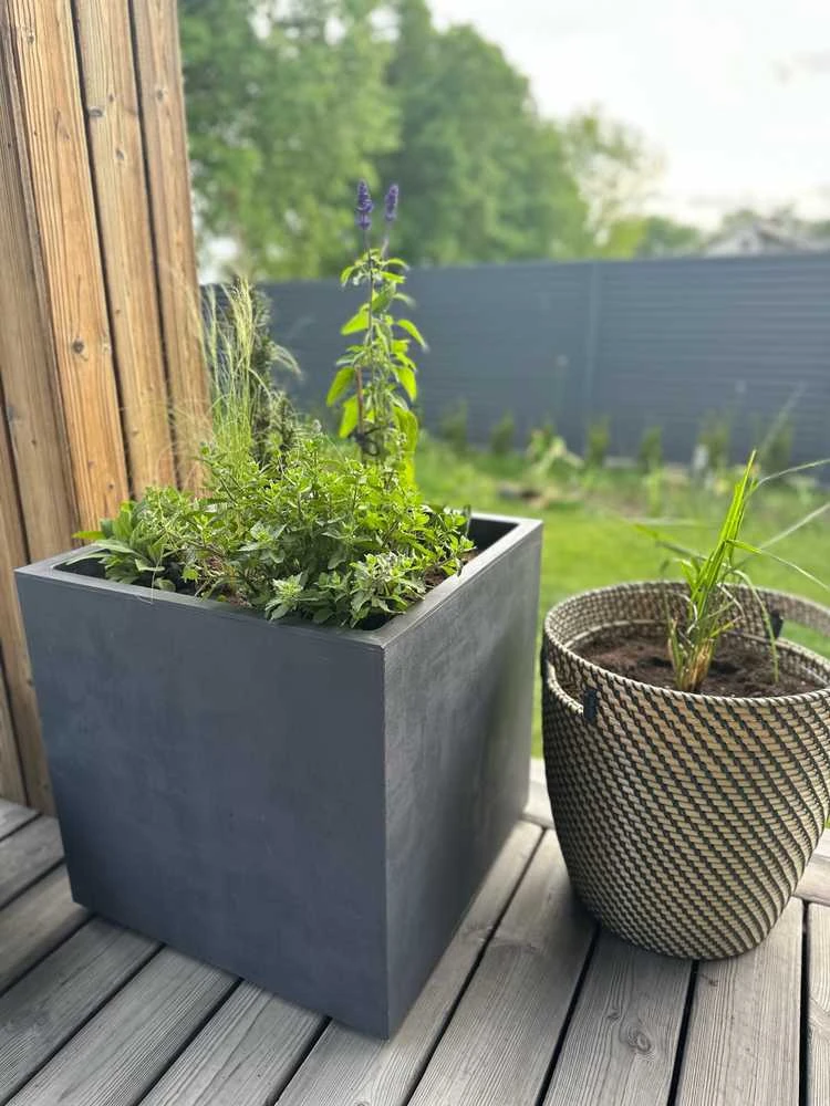 Deroma Vazonas "Antracitas" su vandens rezervuaru ir ratukais, 49 cm