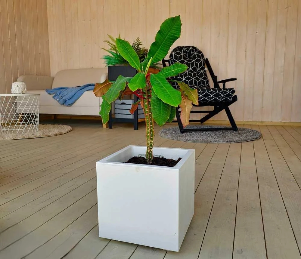 Vazonas "Blanka" su vandens rezervuaru, 79cm