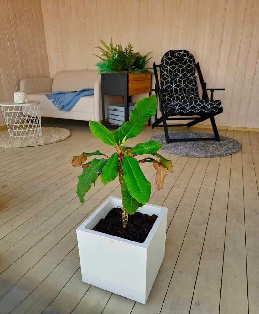 Vazonas "Blanka" su vandens rezervuaru, 79cm