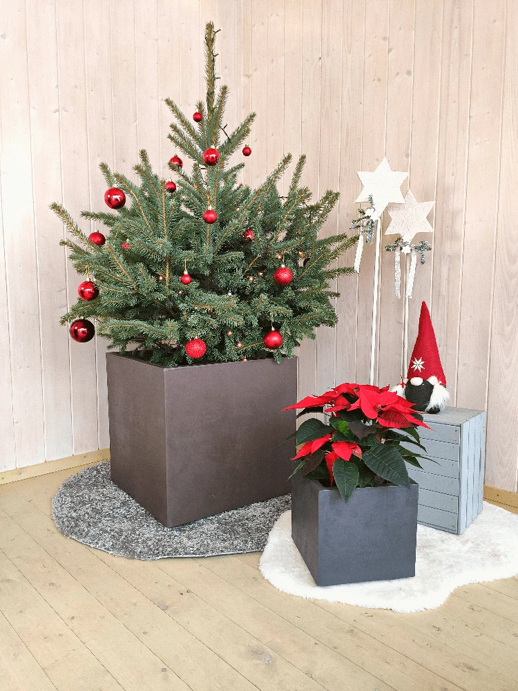 Vazonas "Granitas" su vandens rezervuaru ir ratukais, 49 cm