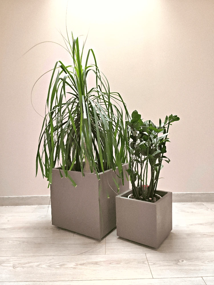 Vazonas "Kvarcas" su vandens rezervuaru ir ratukais, 49 cm