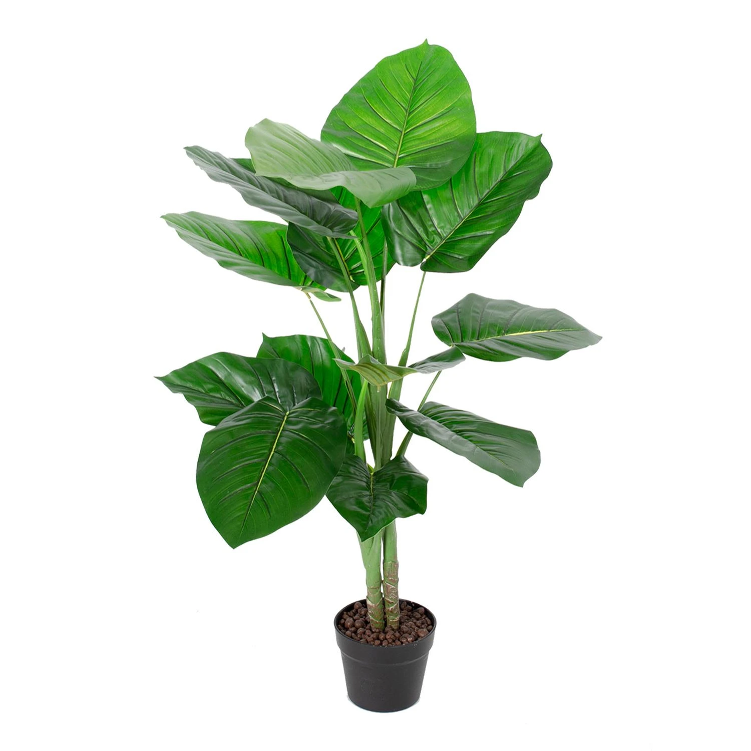 Home4You Dirbtinis medis WIND POTHOS H90cm