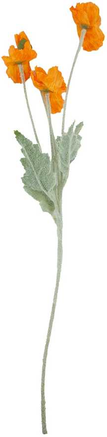 Dirbtinė gėlė FLOWERLY „Aguona“, rinkinys