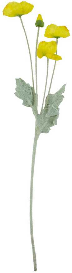 Dirbtinė gėlė FLOWERLY „Aguona“, rinkinys