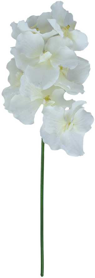 Home4You Orchidėja ŽIEDAS H60cm, mišinys
