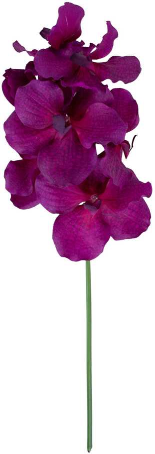 Home4You Orchidėja ŽIEDAS H60cm, mišinys