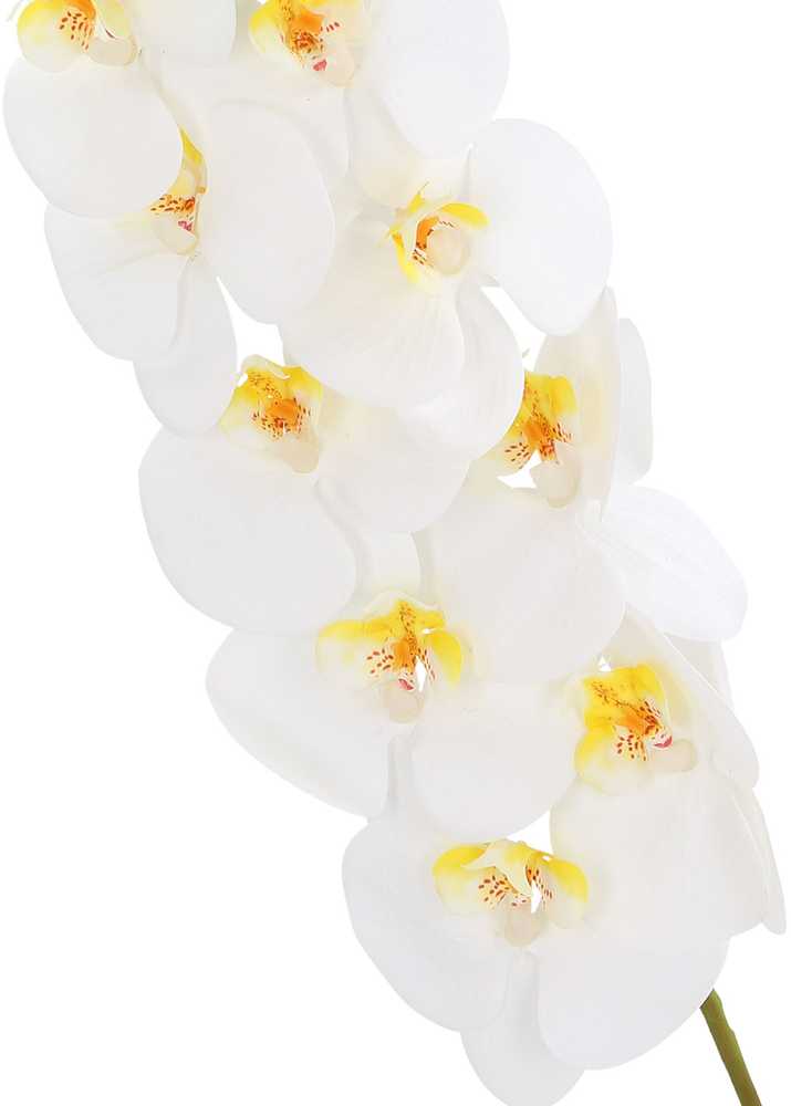Orchidėja SODYBAI H92cm, baltas falenopsis