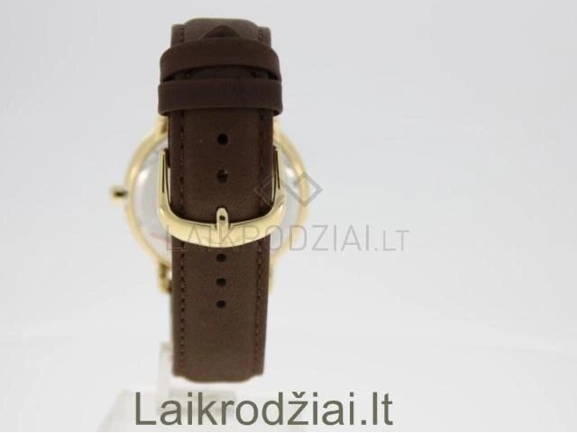 Laikrodis BISSET BSCD59GAGX05BX