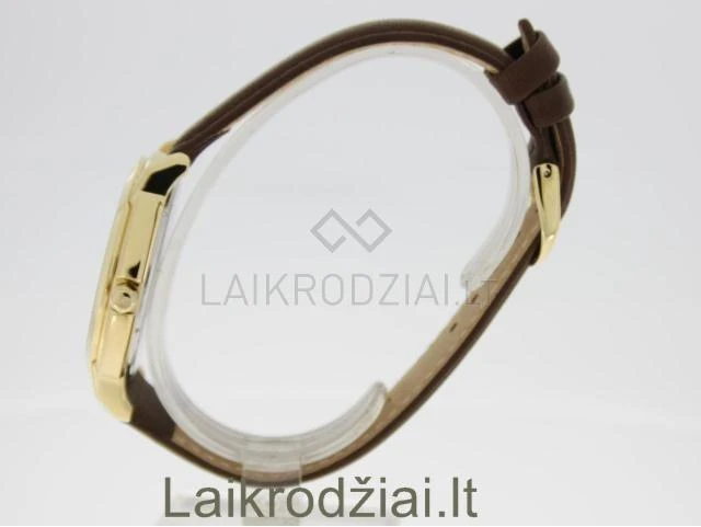 Laikrodis BISSET BSCD59GAGX05BX