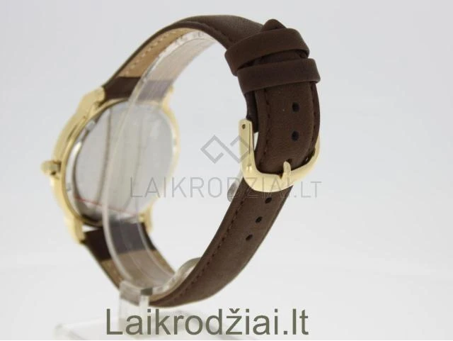Laikrodis BISSET BSCD59GAGX05BX