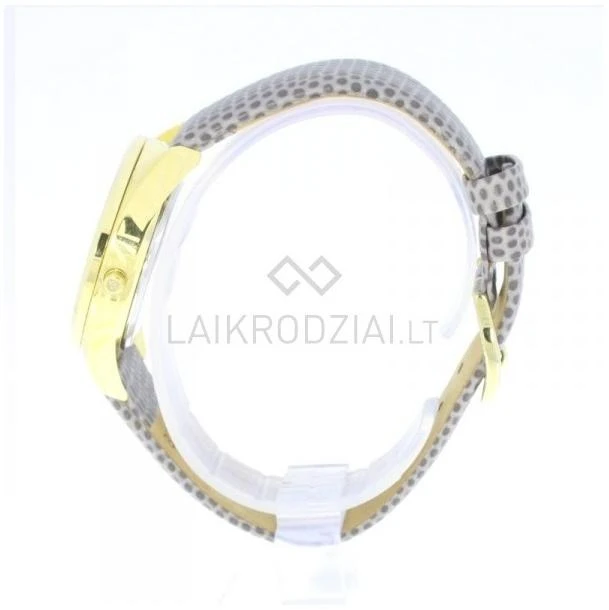 Laikrodis BISSET Cecolino BSAD41GISX03BX