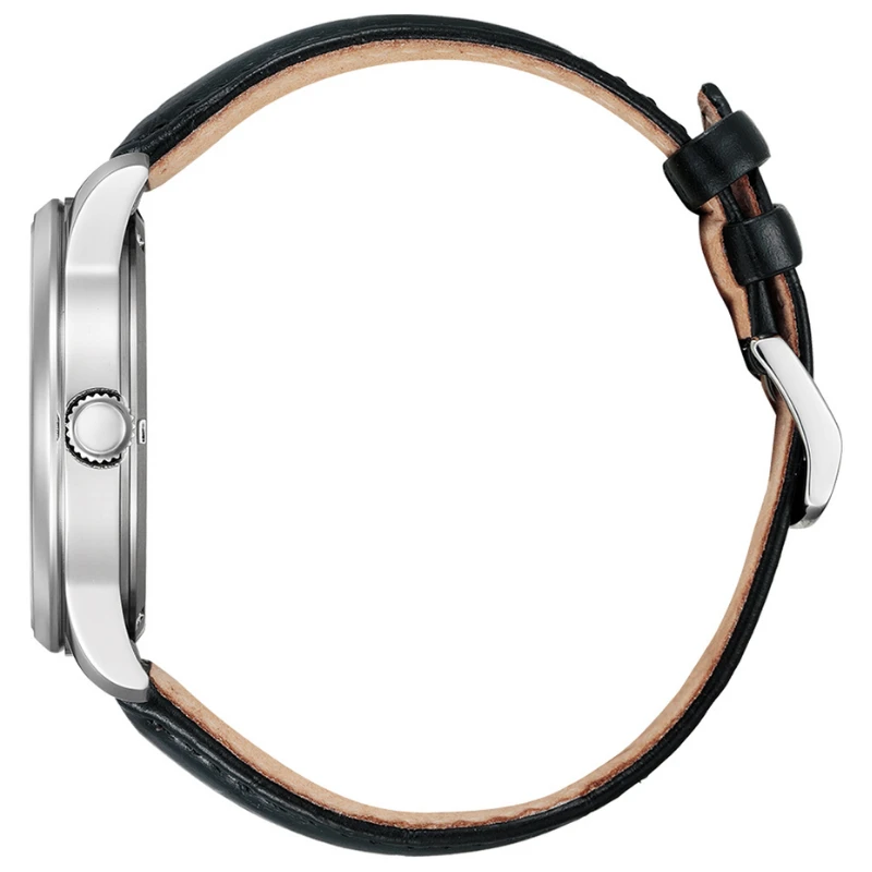 Laikrodis Citizen Eco-Drive BM8550-14AC