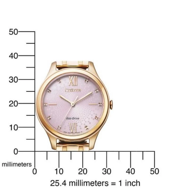 Laikrodis Citizen Eco-Drive EM0503-75X