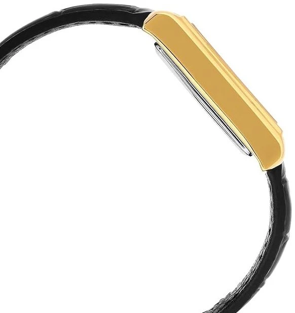 Laikrodis Casio Collection LTP-1234PGL-1AEF