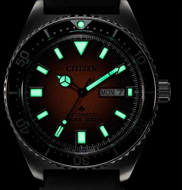 Laikrodis Citizen Automatic Promaster Diver NY0120-01ZC