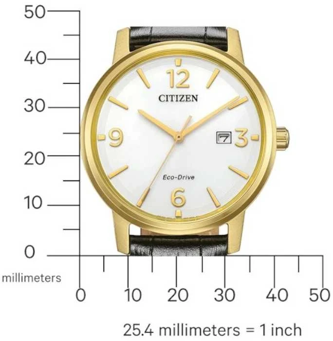 Laikrodis Citizen Eco-Drive BM6756-01A