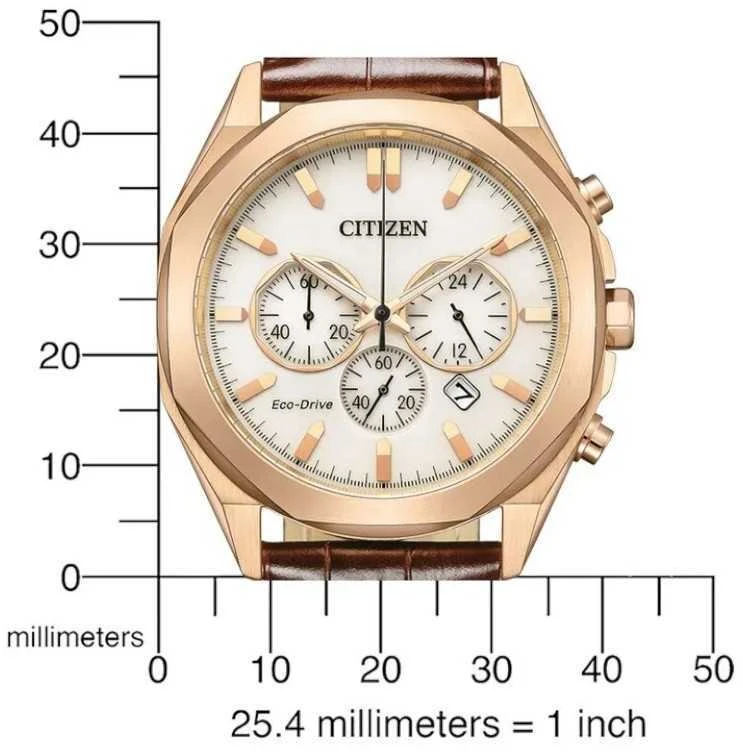 Laikrodis Citizen Eco-Drive CA4593-15A