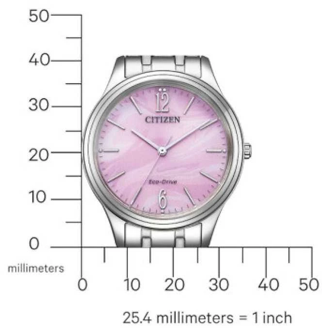 Laikrodis Citizen Eco-Drive EM0411-71X