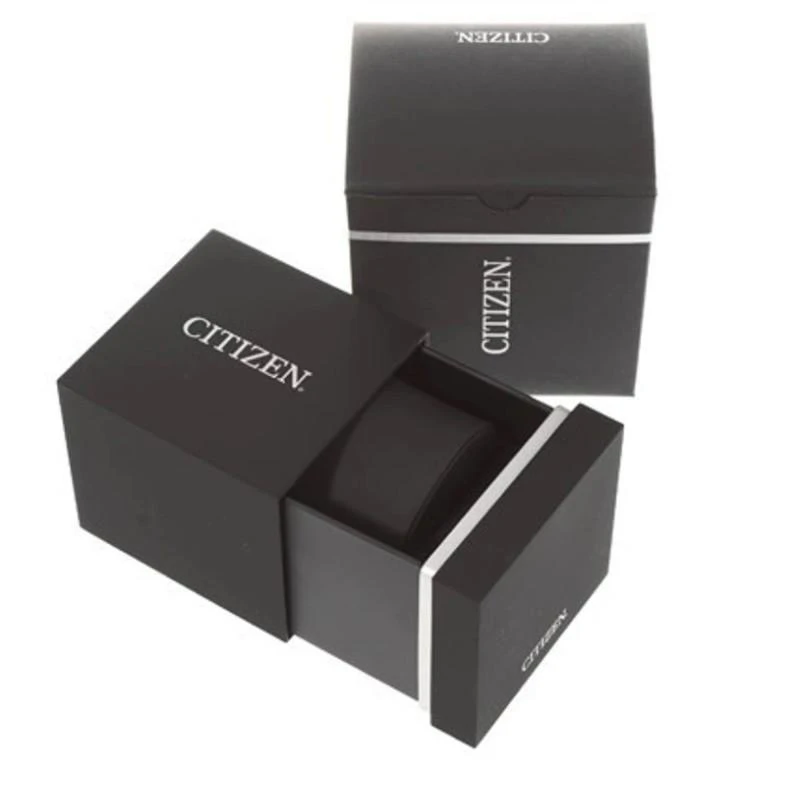 Laikrodis Citizen Eco-Drive EM0500-73A