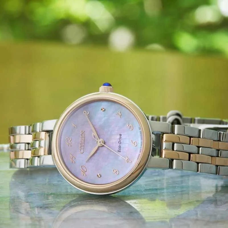 Laikrodis Citizen Eco-Drive EM0996-84Y