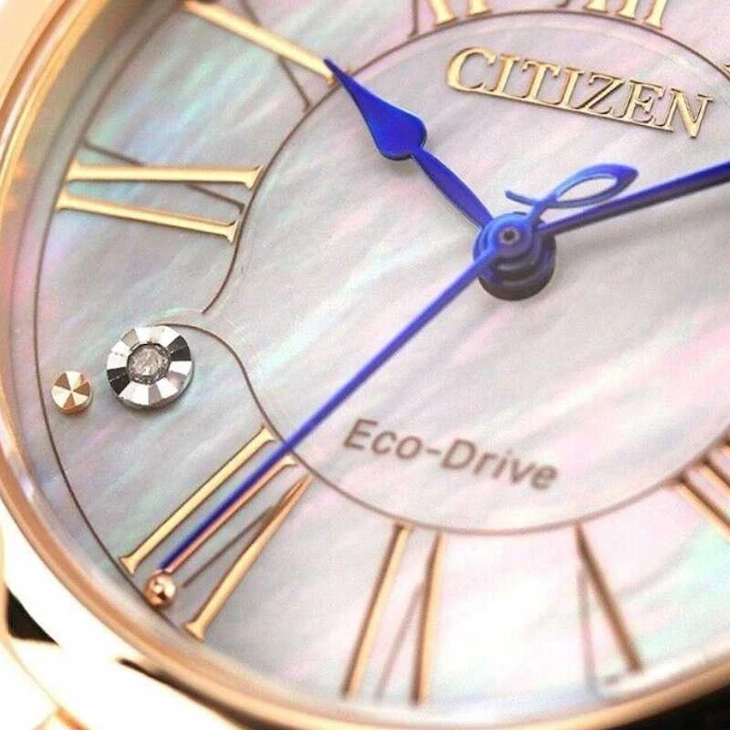 Laikrodis Citizen Eco-Drive EM1063-89D