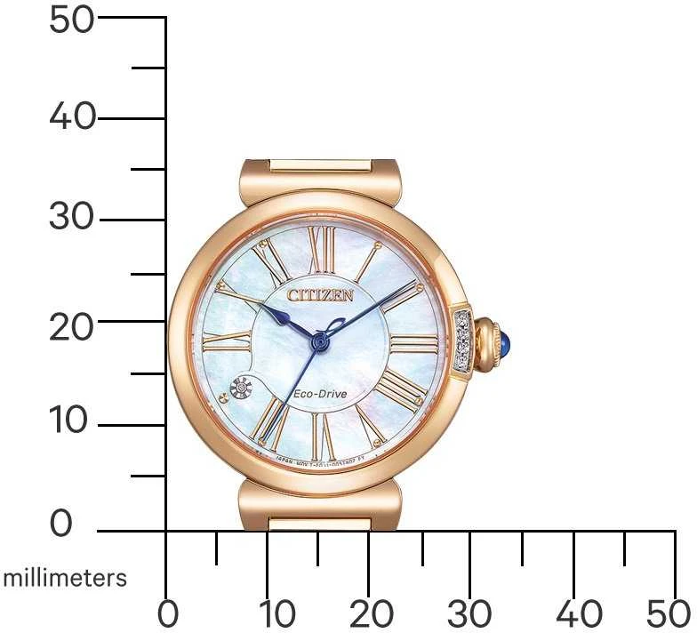 Laikrodis Citizen Eco-Drive EM1063-89D