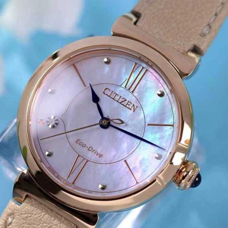 Laikrodis Citizen Eco-Drive EM1073-18D