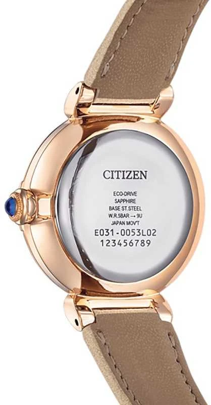 Laikrodis Citizen Eco-Drive EM1073-18D