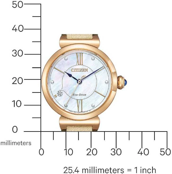 Laikrodis Citizen Eco-Drive EM1073-18D
