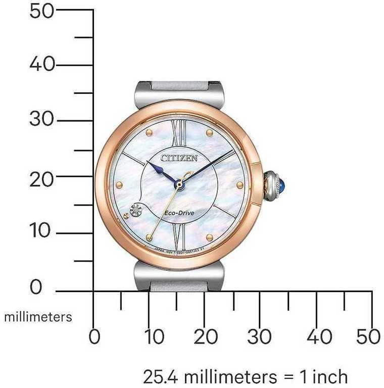Laikrodis Citizen Eco-Drive EM1074-15D