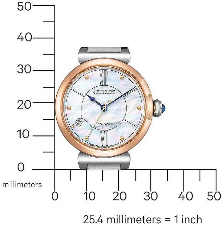 Laikrodis Citizen Eco-Drive EM1074-15D