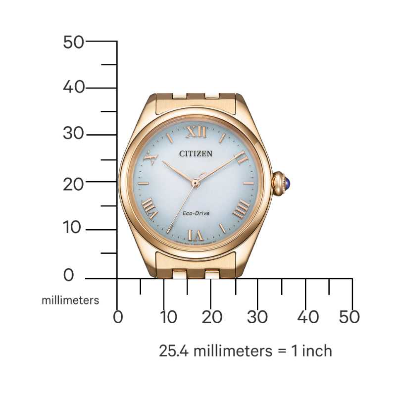Laikrodis Citizen Eco-Drive EM1143-81X