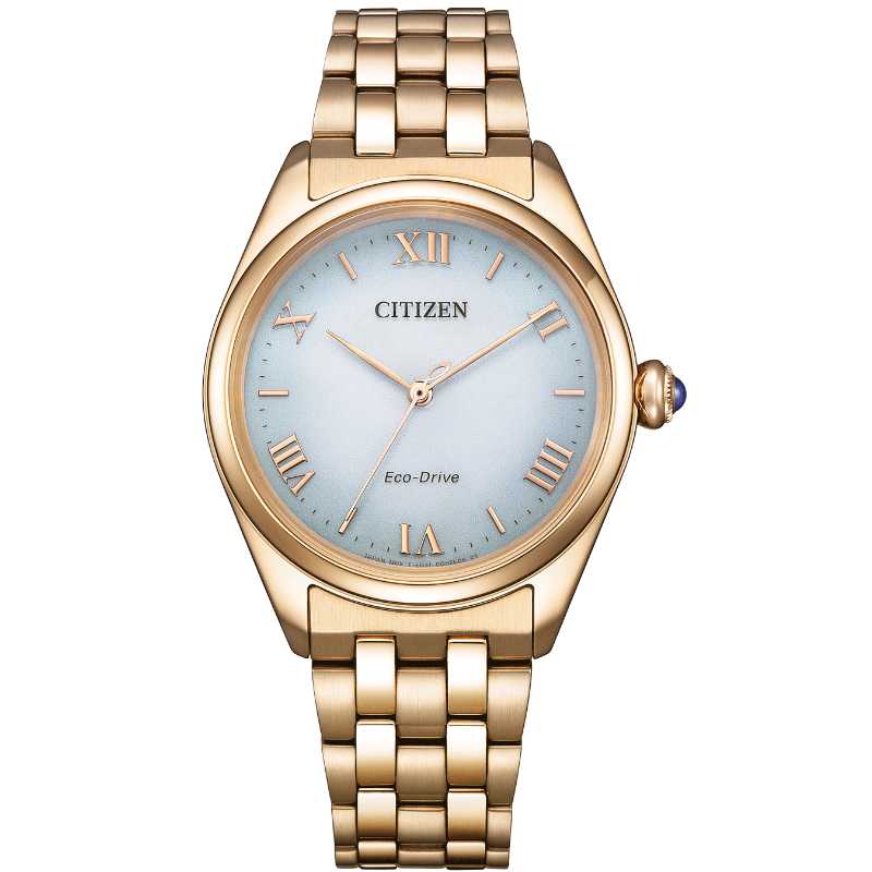 Laikrodis Citizen Eco-Drive EM1143-81X