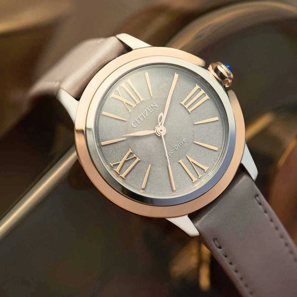 Laikrodis Citizen Eco-Drive EM1166-01Z