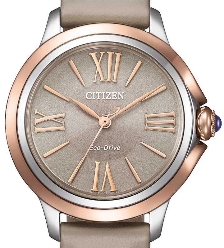 Laikrodis Citizen Eco-Drive EM1166-01Z