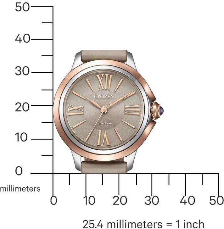 Laikrodis Citizen Eco-Drive EM1166-01Z