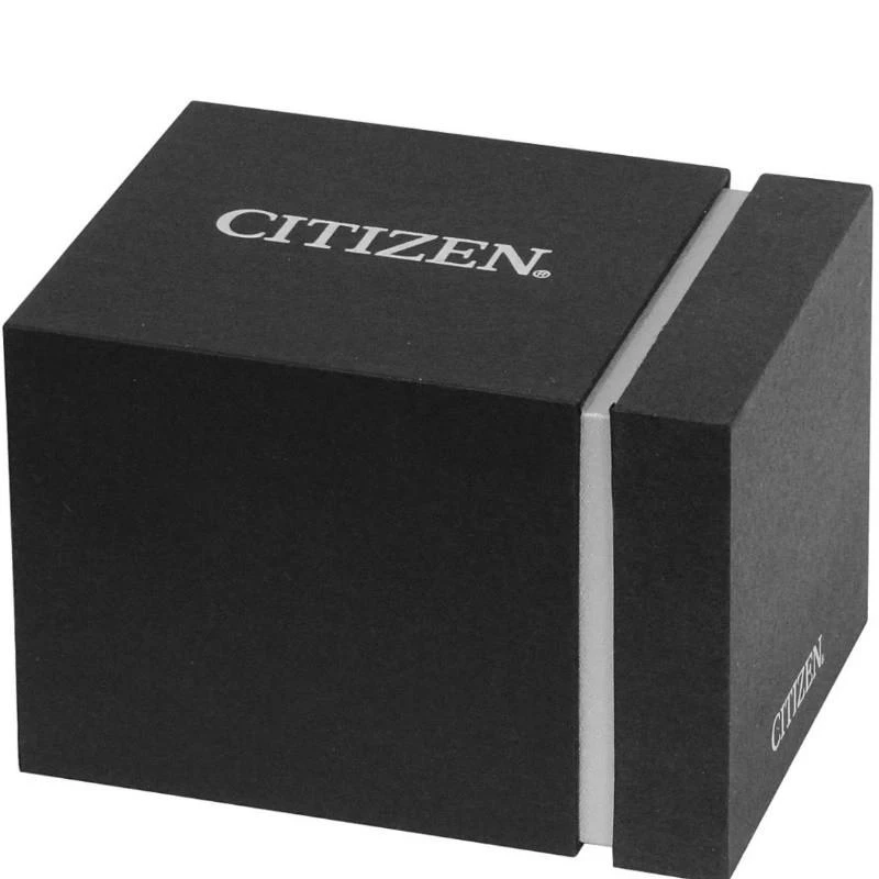 Laikrodis CITIZEN Eco-Drive saulės FE2110-81A