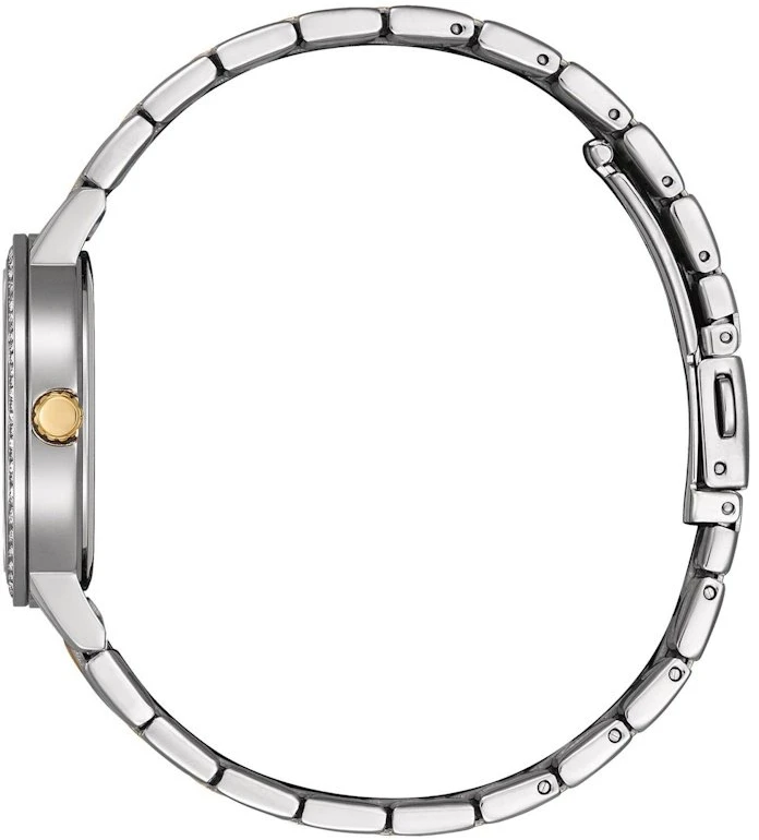 Laikrodis Citizen EL3106-59D