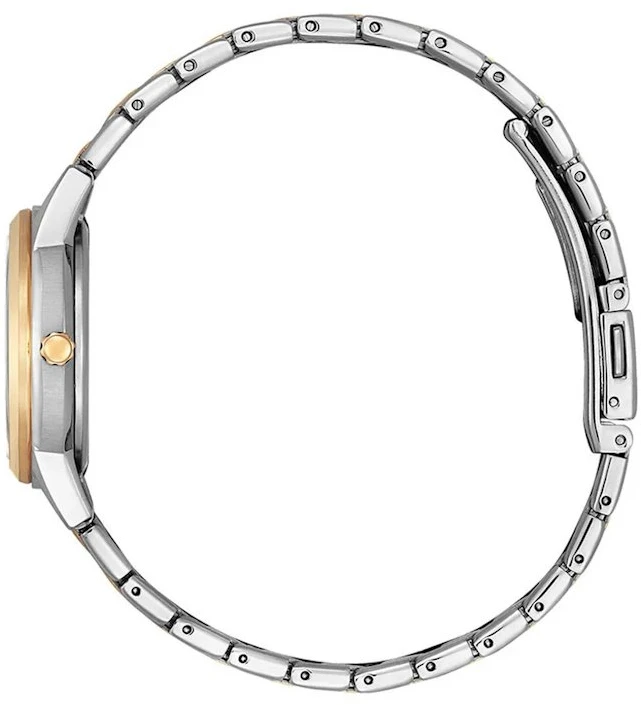Laikrodis Citizen Elegance Eco Drive FE1246-85A