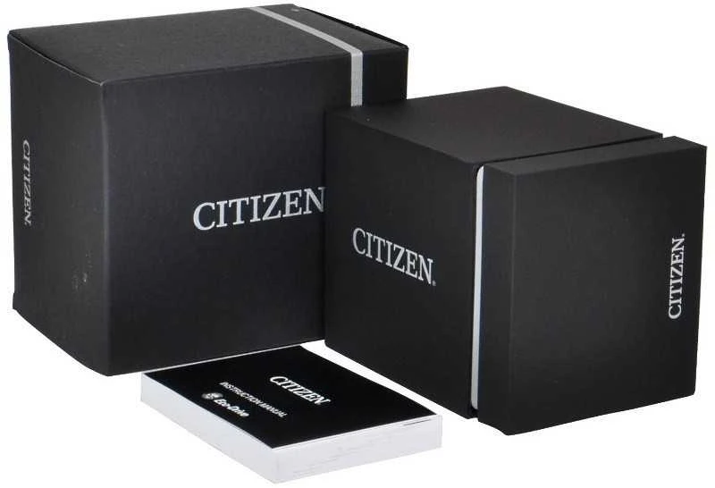 Laikrodis Citizen EL3100-55W